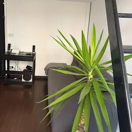 Center Academy 1 Bari