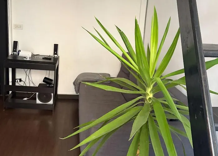 Center Academy 1 Bari